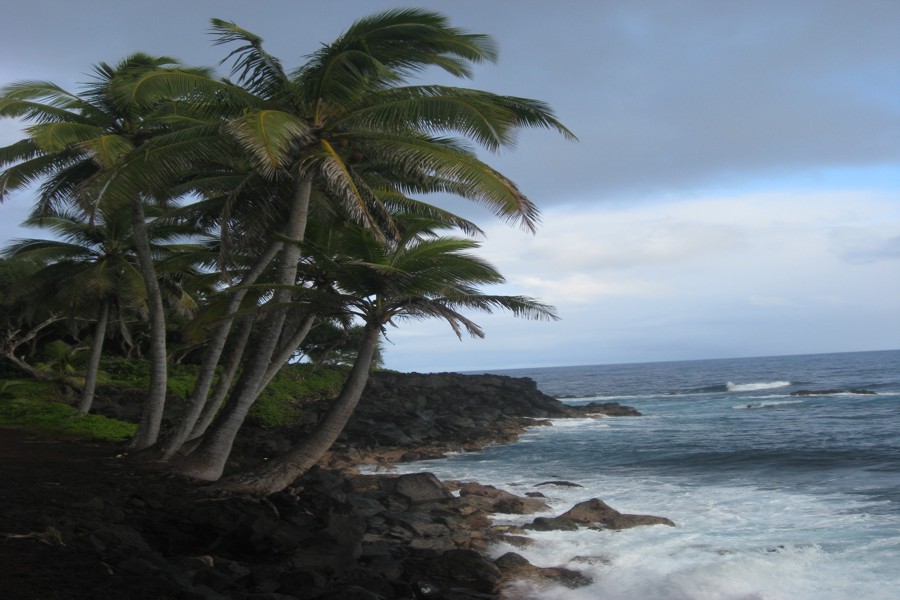 ../image/pretty shoreline near puna  4.jpg